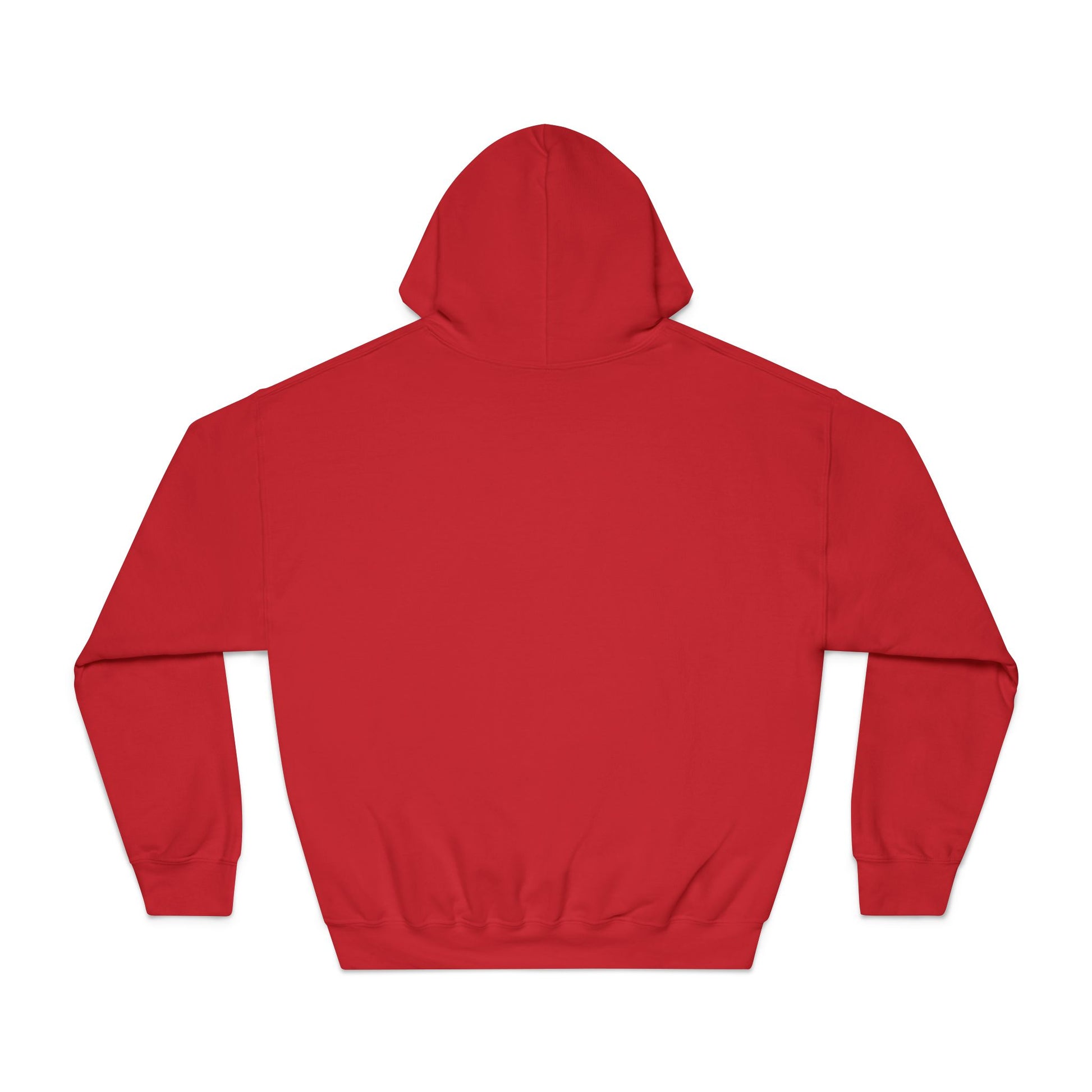 Alyon Society — Hoodie "L’Attitude du Niveau Supérieur"(Unisexe)