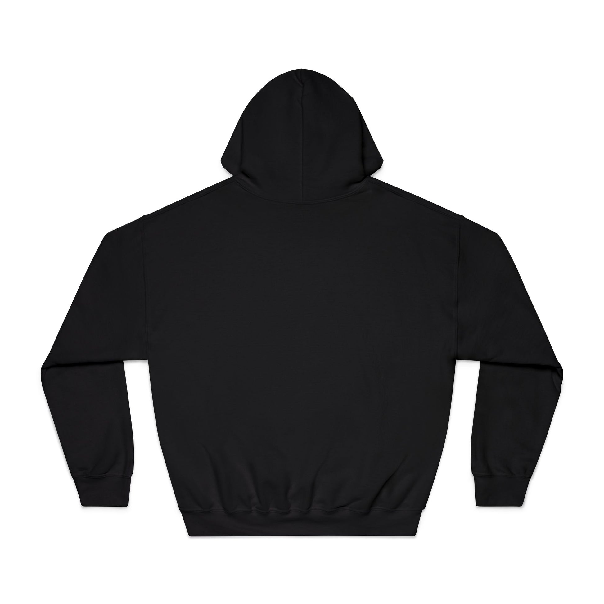 Alyon Society — Hoodie "L’Attitude du Niveau Supérieur"(Unisexe)